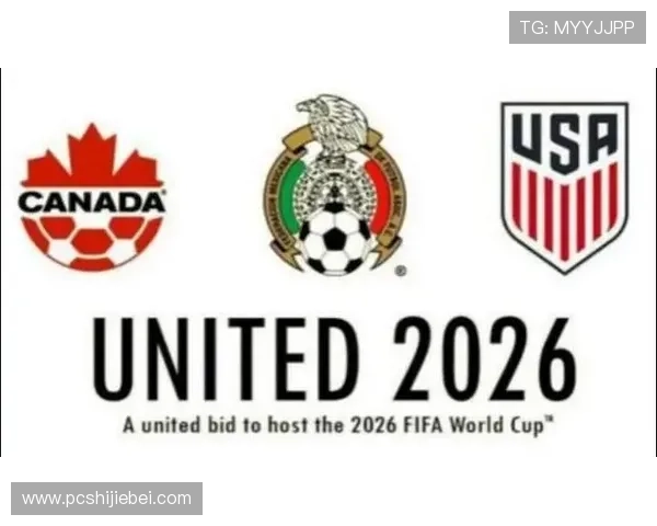 未来美加墨世界杯时间段安排的优化建议与发展方向