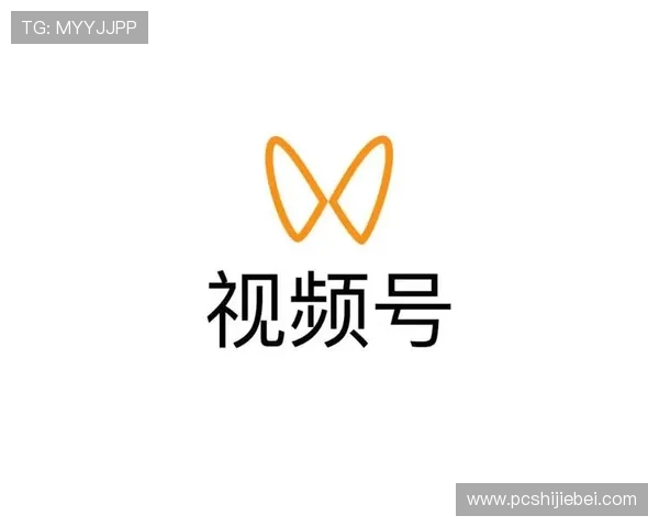 NBA看球网址查询指南，详细介绍各大直播平台的优势与使用方法，方便用户快速找到理想观看渠道